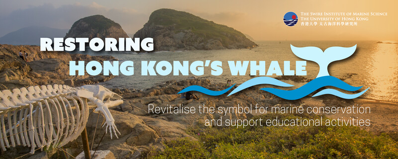 Restoring Hong Kong's Whale Campaign